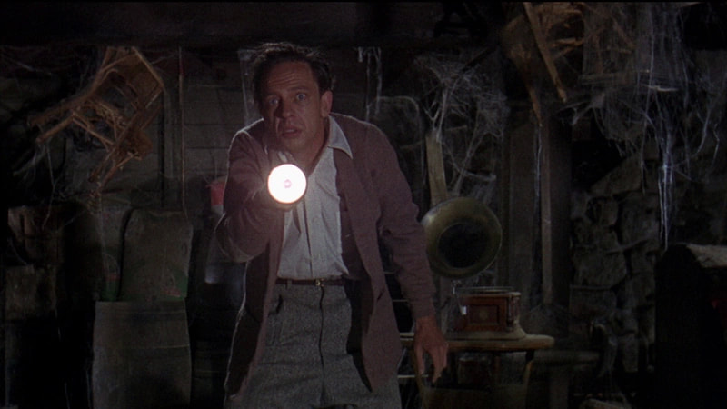 Picture: Don Knotts in The Ghost and Mr. Chicken