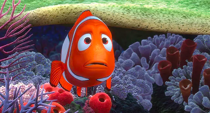 Picture: Marlin in Finding Nemo 