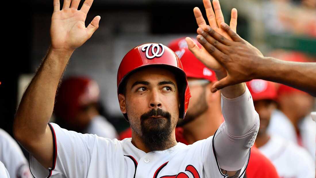 Picture: Anthony Rendon